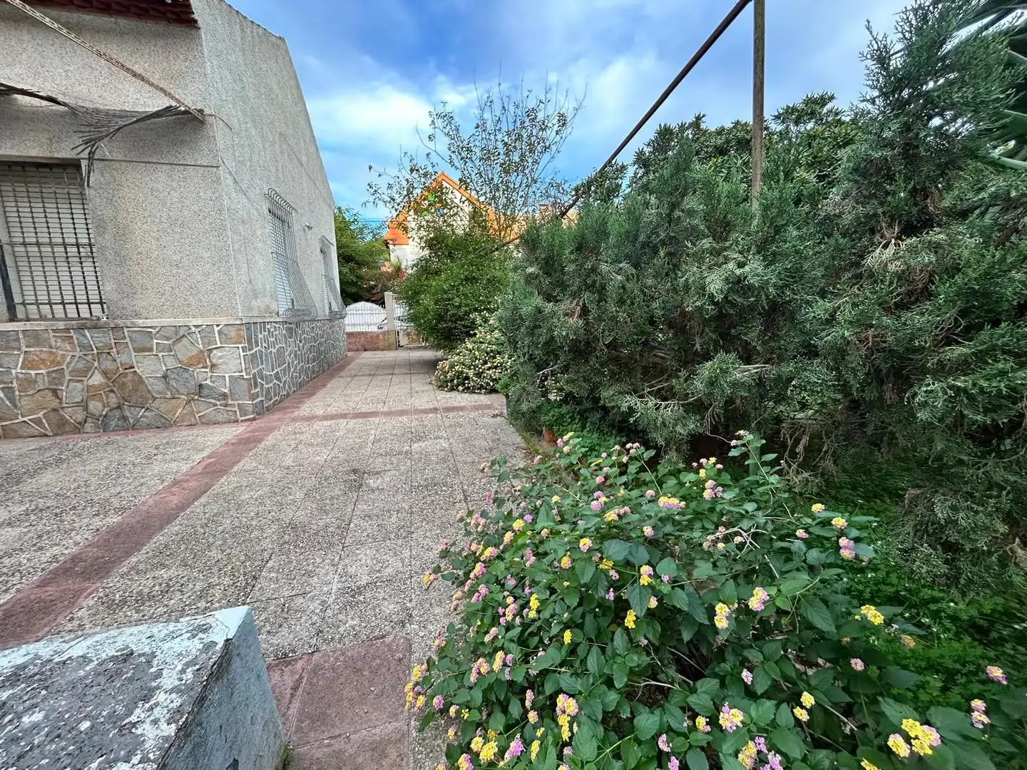 Garden of Houses for sale in Murcia  with Private garden and Swimming Pool
