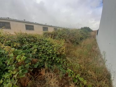 Terreno residenziale in vendita a Roales
