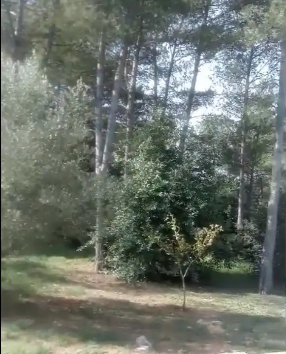 Maison rustique à vendre à Partida les Foyes, imagen 29