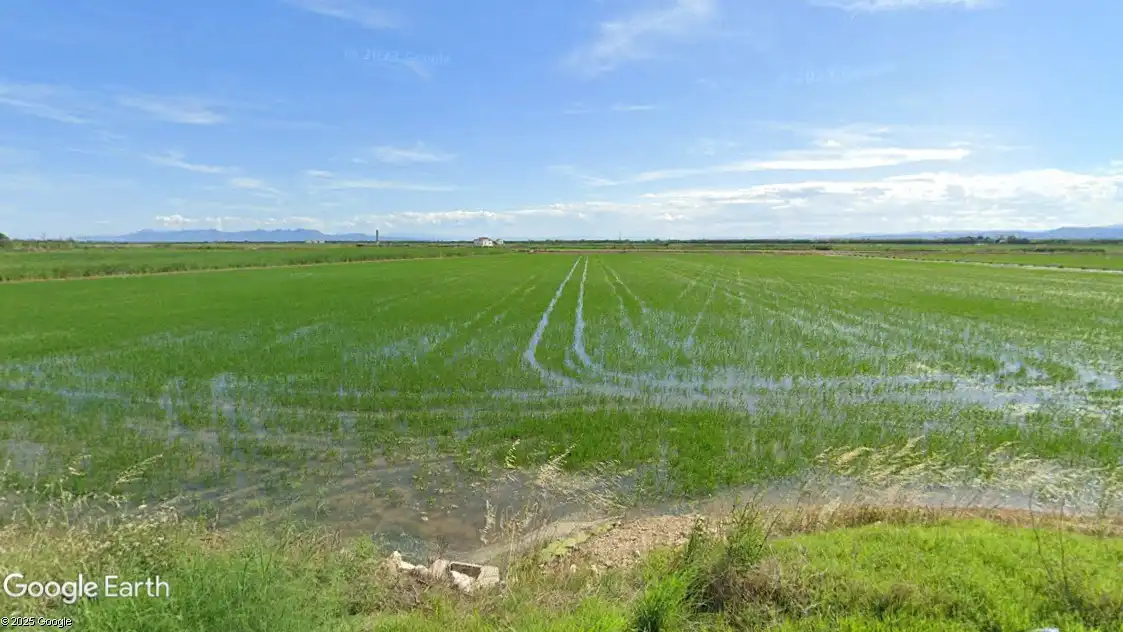 Terreno rustico in vendita a Catarroja, imagen 6