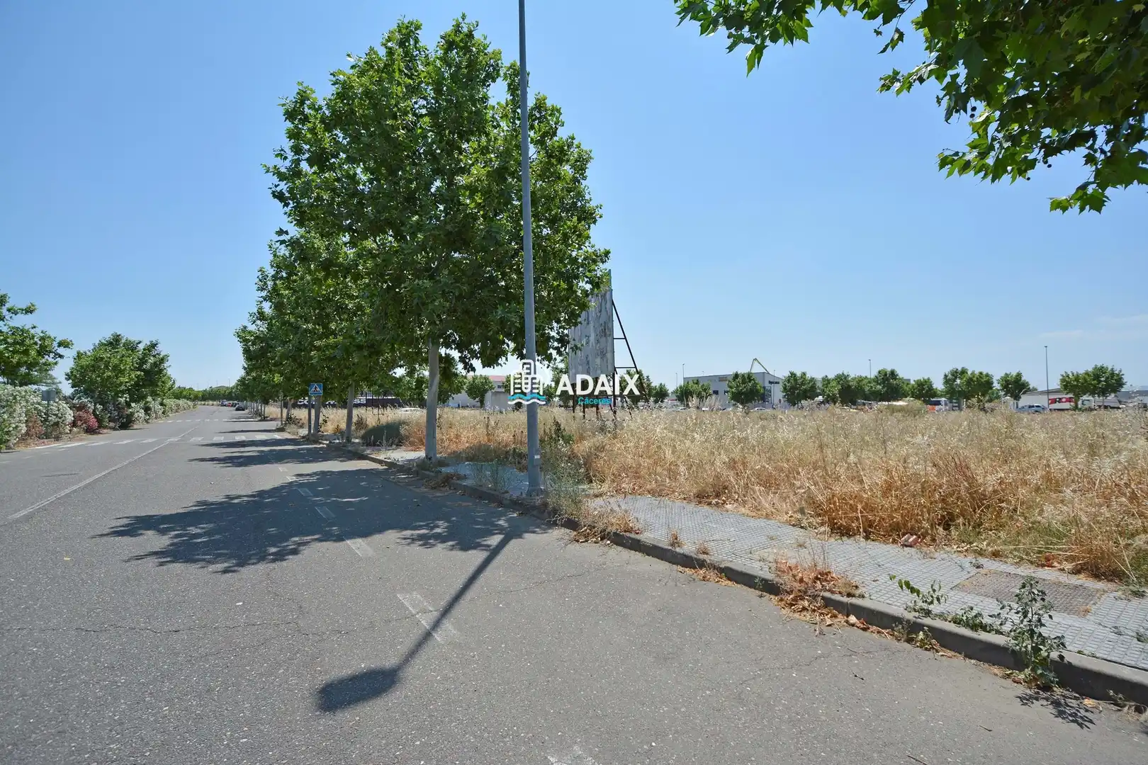 Terrenos y solares en venta en C. A, imagen 3