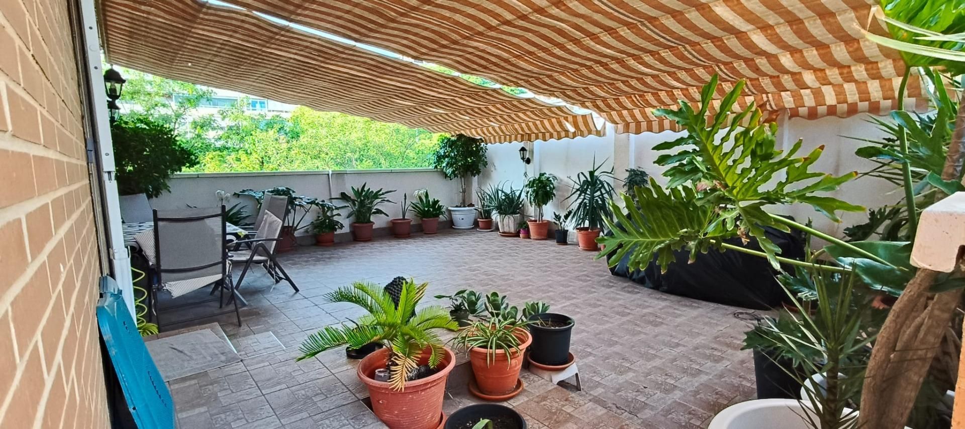 Terrassa de Pis en venda en Elche / Elx amb Aire condicionat, Jardí privat i Terrassa