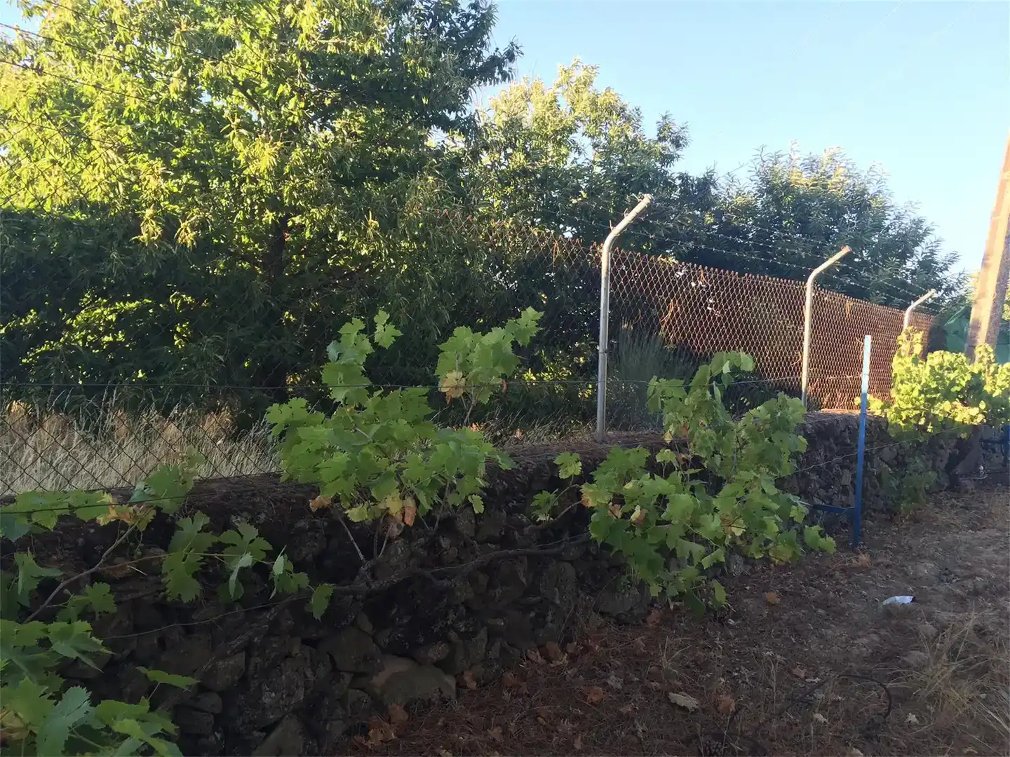 Jardí de Residencial en venda en Aldeadávila de la Ribera
