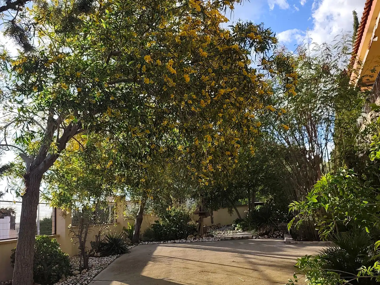 Villa mit Terrasse zum Verkauf in Calle de los Cedros, imagen 6