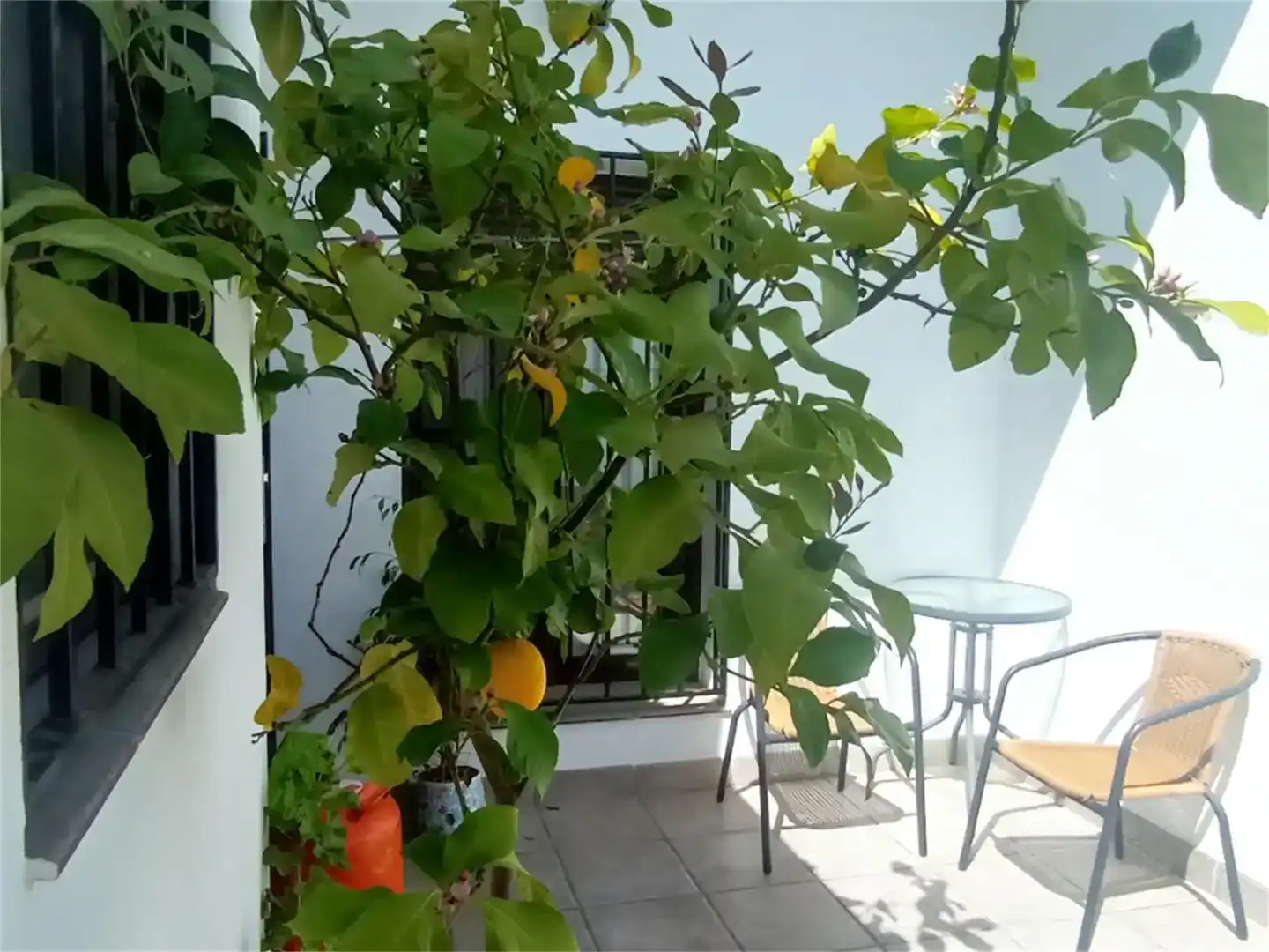 Terraza de Casa adosada en venta en Alanís con Aire acondicionado y Amueblado