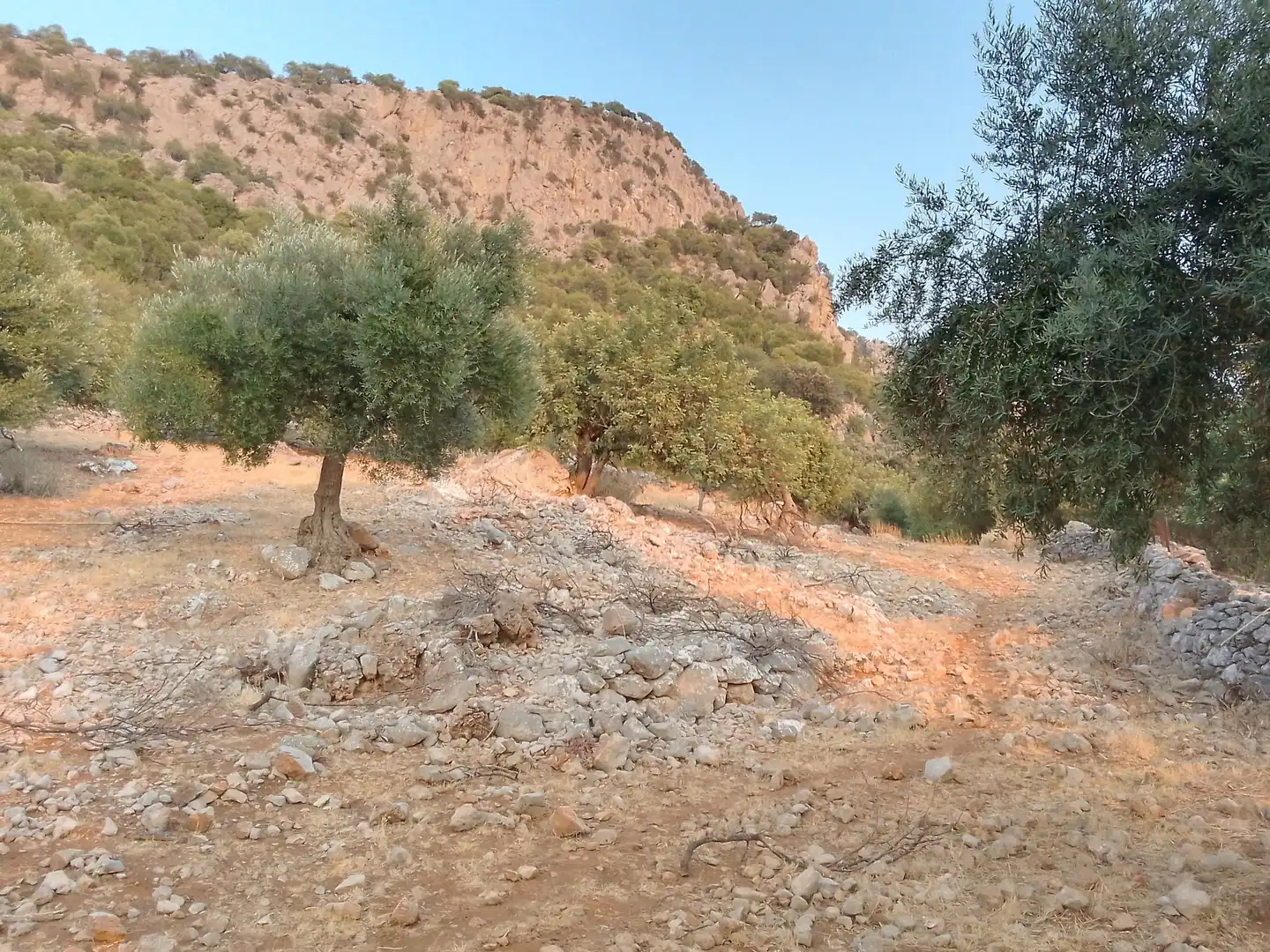 Terreni e lotti in vendita a Ubrique, imagen 19