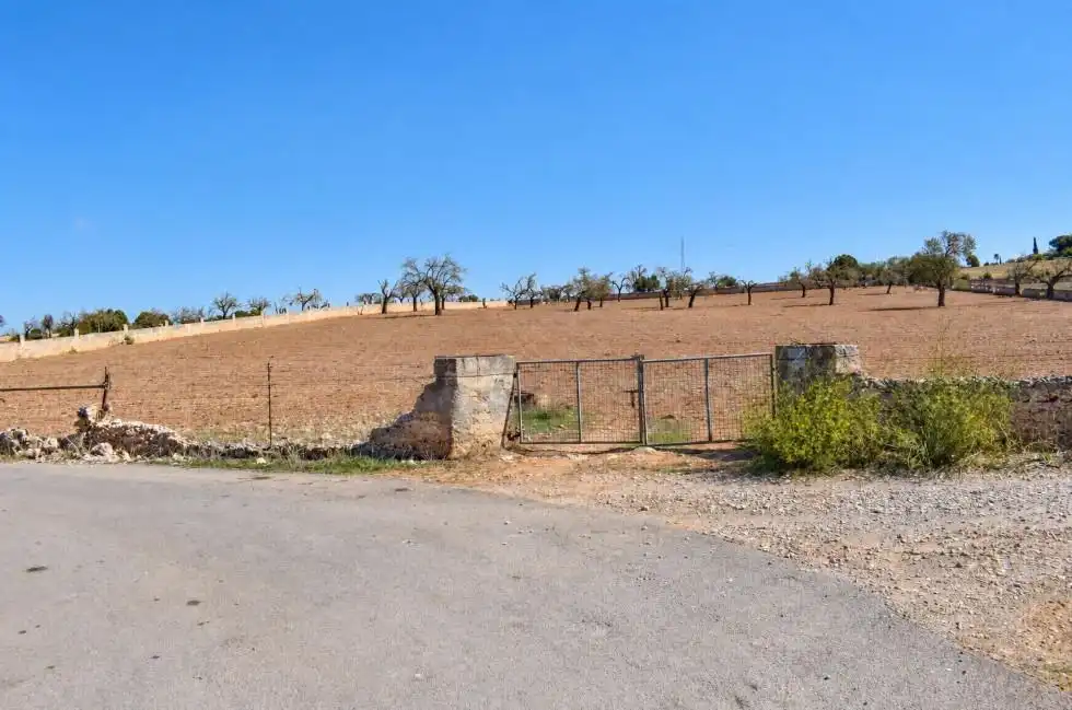 Terreny residencial en venda a Ariany, imagen 5