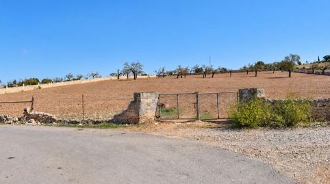 Photo 5 of Country homes for sale in Ariany, Illes Balears