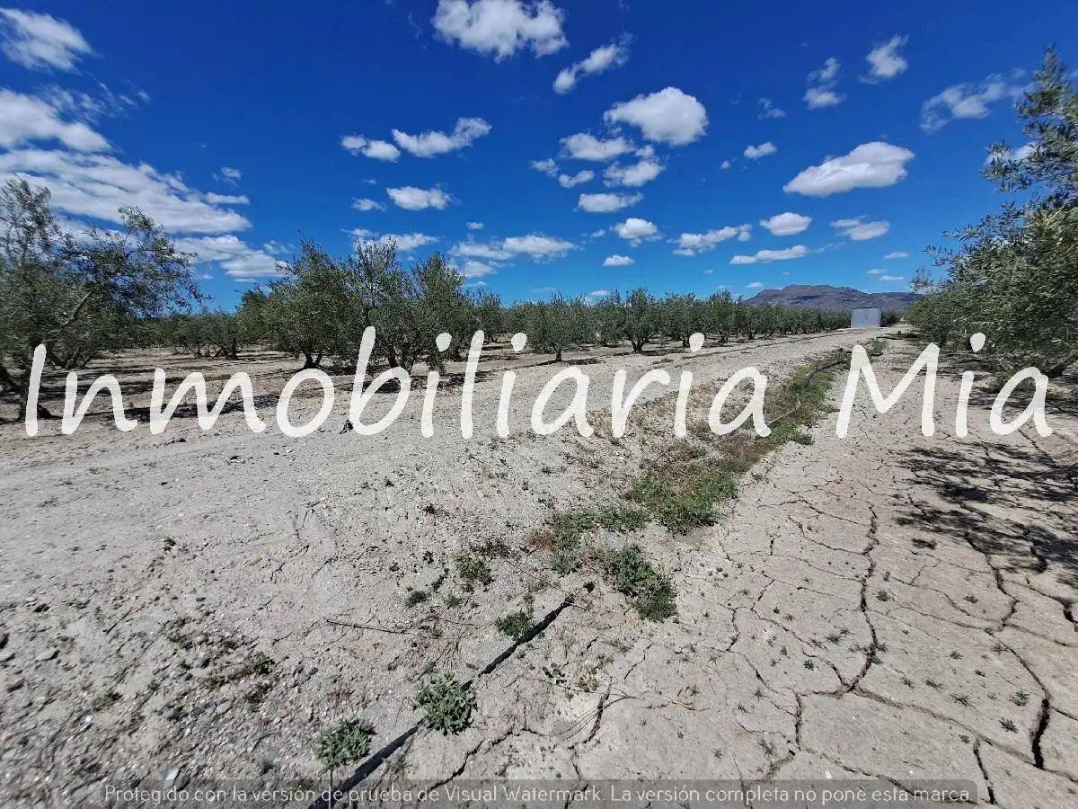 Houses for sale in Puerto Lumbreras