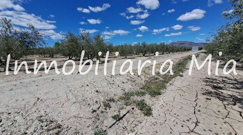Photo 2 of Houses for sale in Puerto Lumbreras, Murcia