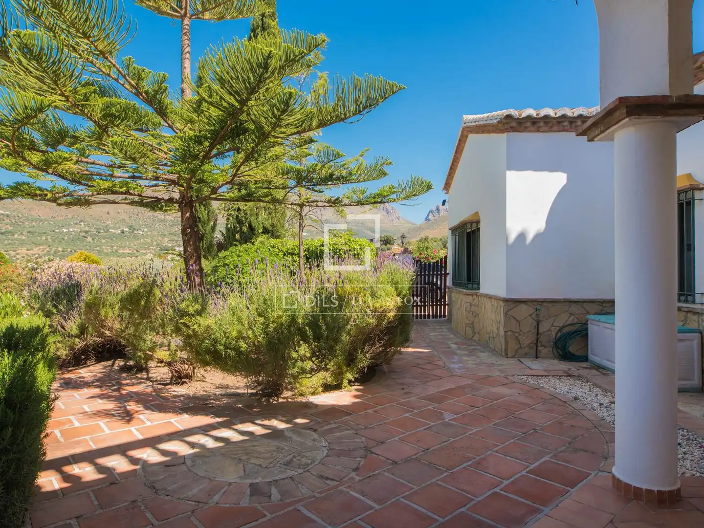Casa rustica con terrazza in vendita a Alcaucín, imagen 40