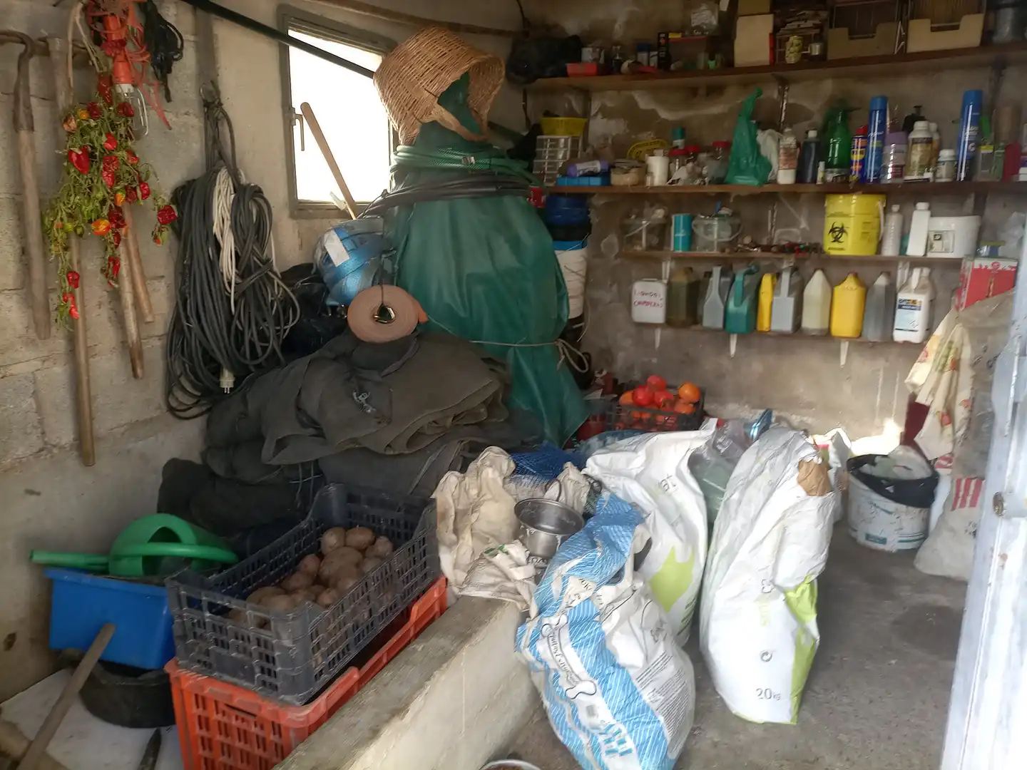 Terreny rústic en venda a Alpujarra de la Sierra, imagen 16