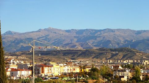 OPORTUNIDAD DE MAGNIFICA PARCELA EN MONTELUZPELIGROS, imatge 3