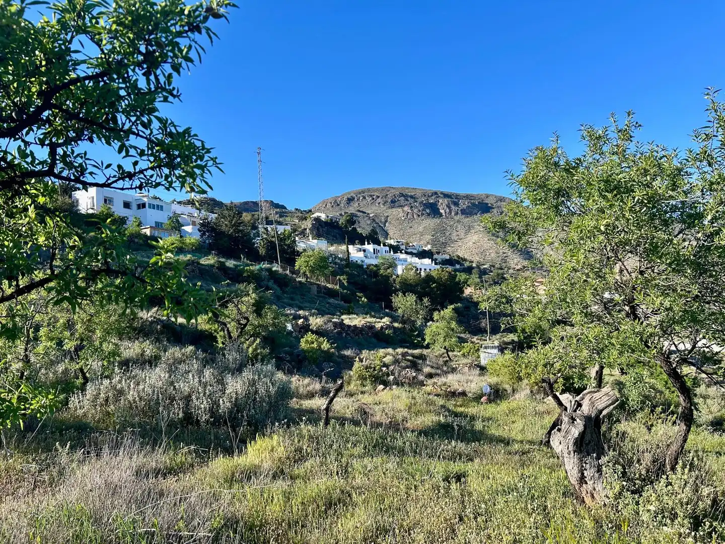 Vista exterior de Terreno en venta en Felix