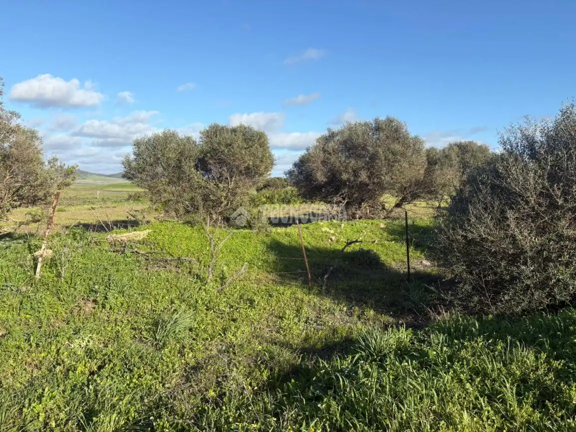Terreni e lotti in vendita a Los villares, poligono 33 parcela 312, imagen 7