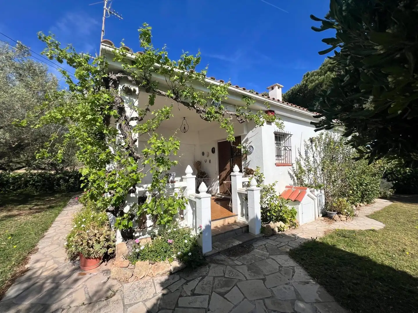 Garten von Haus oder Chalet zum Verkauf in La Ràpita mit Privatgarten, Terrasse und Möbliert
