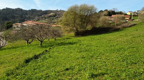 La Peral (Illas) Asturias, finca edificable, immagine 4