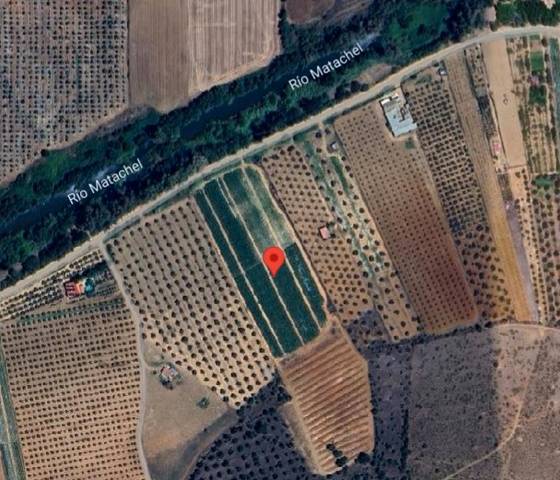 Terreno en Venta en La Zarza (Badajoz)