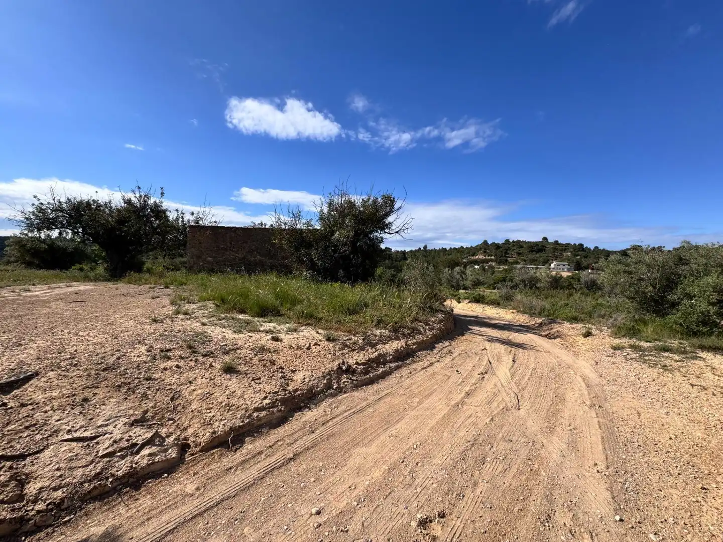 Land for sale in Polígono 26 Parcela 21 CASA BLANCA-BARBETA. TORRE, 26, Poligono Mas del Jutge