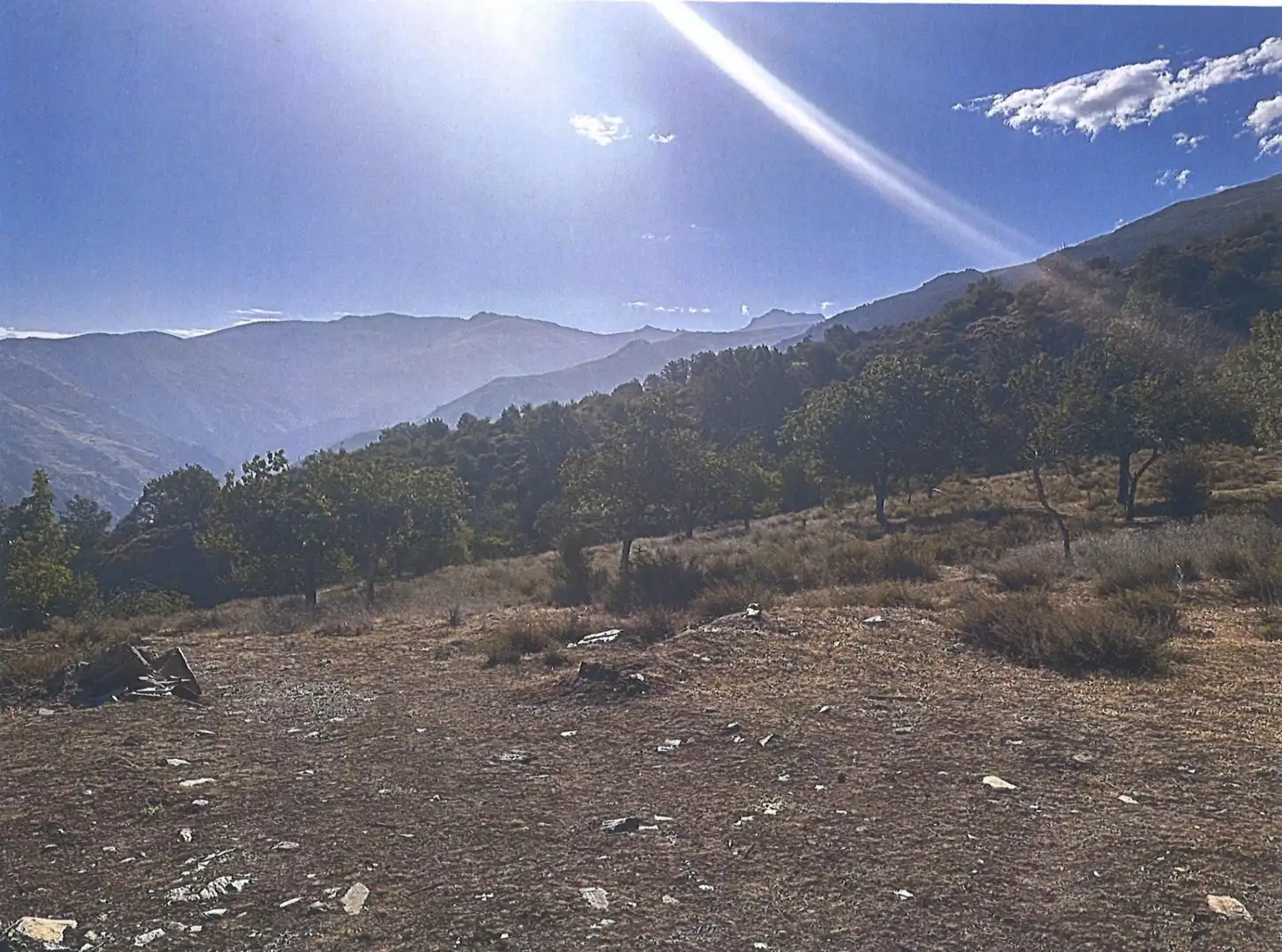 Terreno residenziale in vendita a Calle Carretera, imagen 3