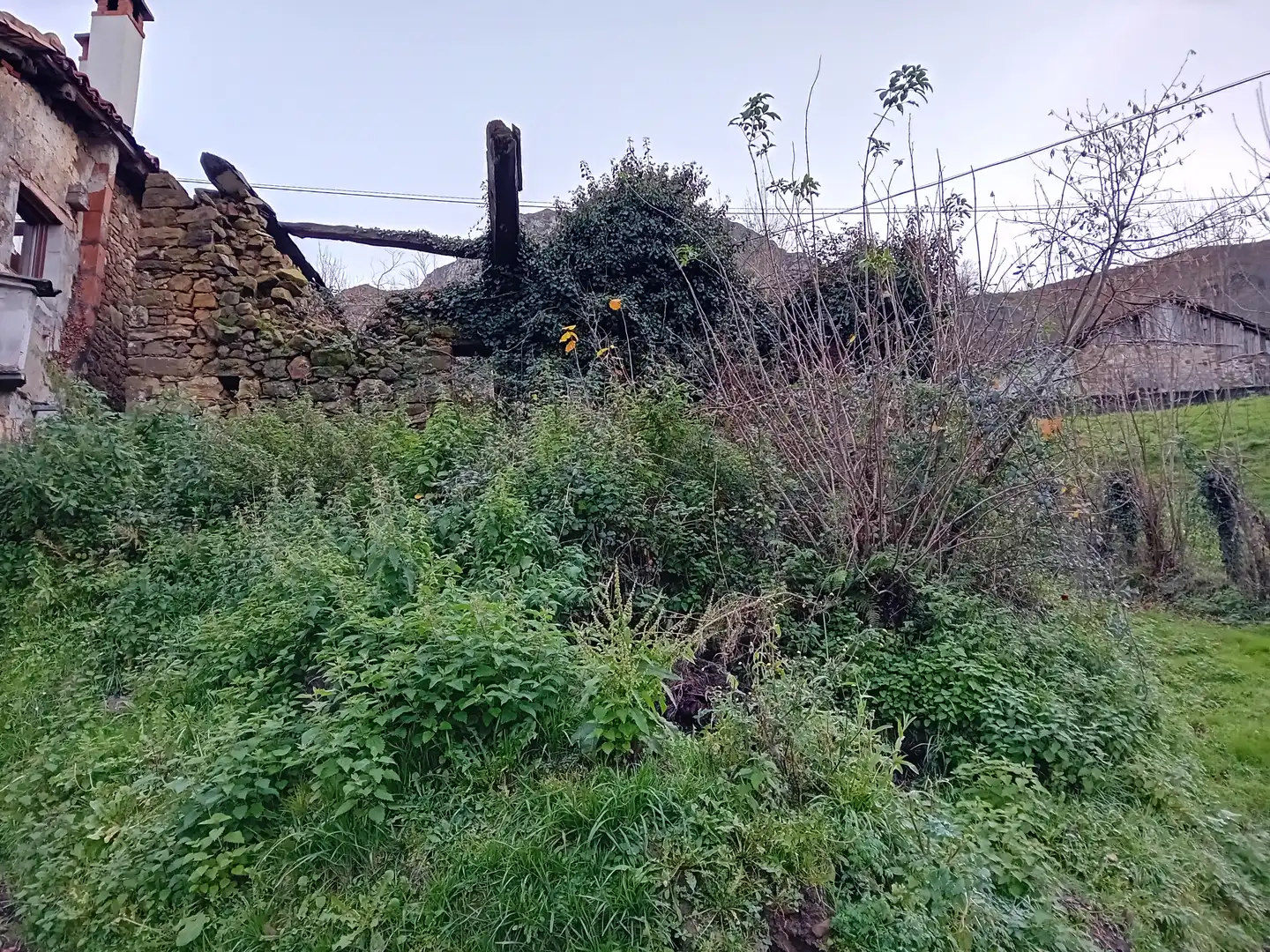 Finca rústica en venta en Amieva