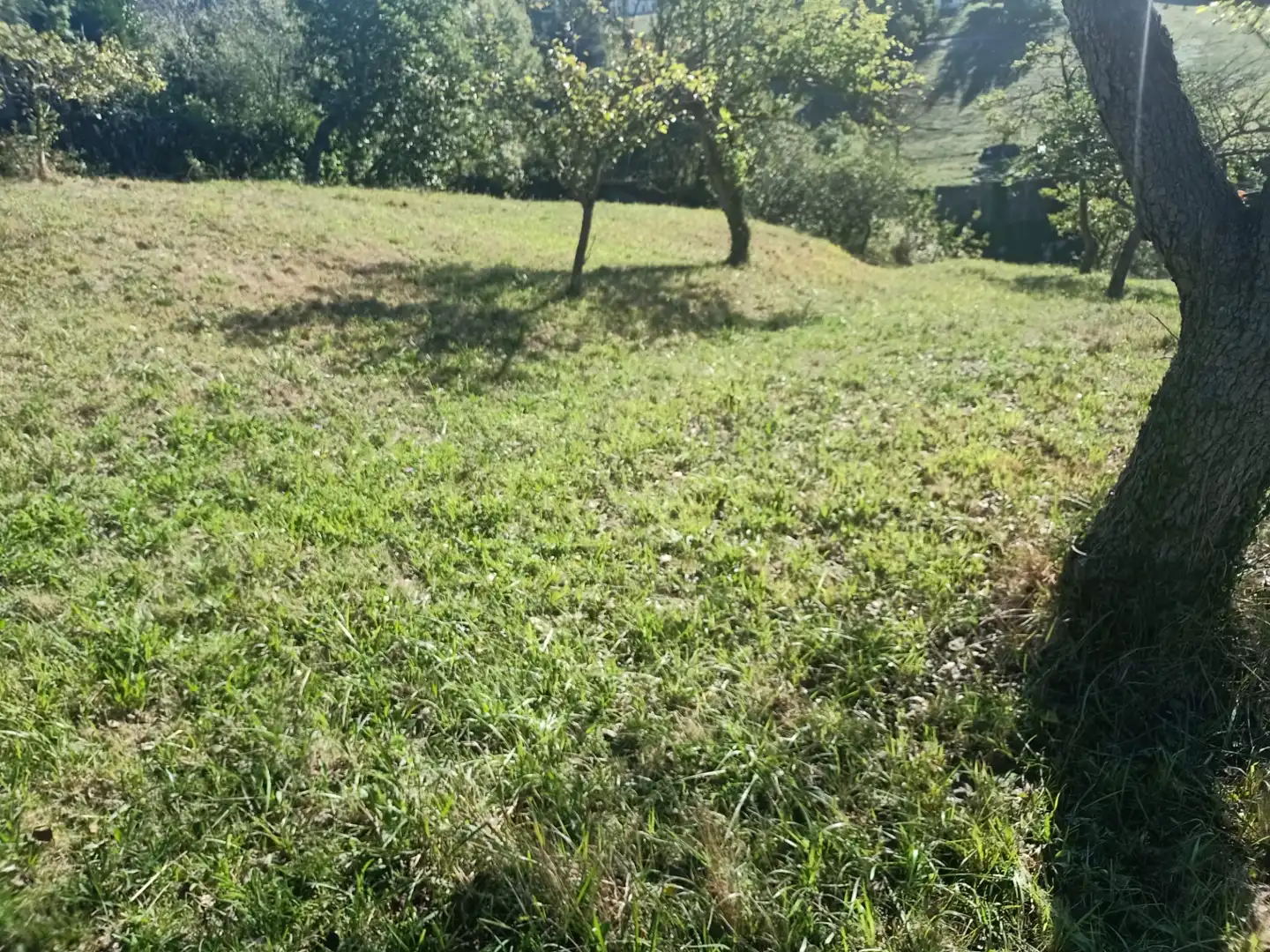 Terrain rustique à vendre à Barrio Cenero Urbano 10A, imagen 11