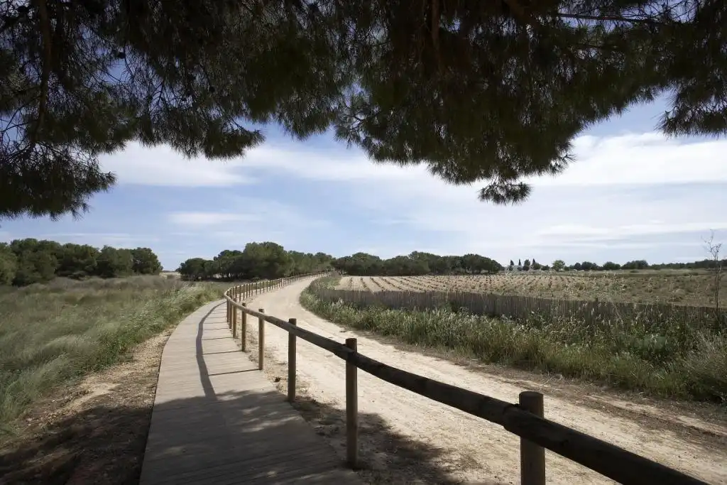 Xalet amb piscina en venda a Nueva Torrevieja - Aguas Nuevas, imagen 9