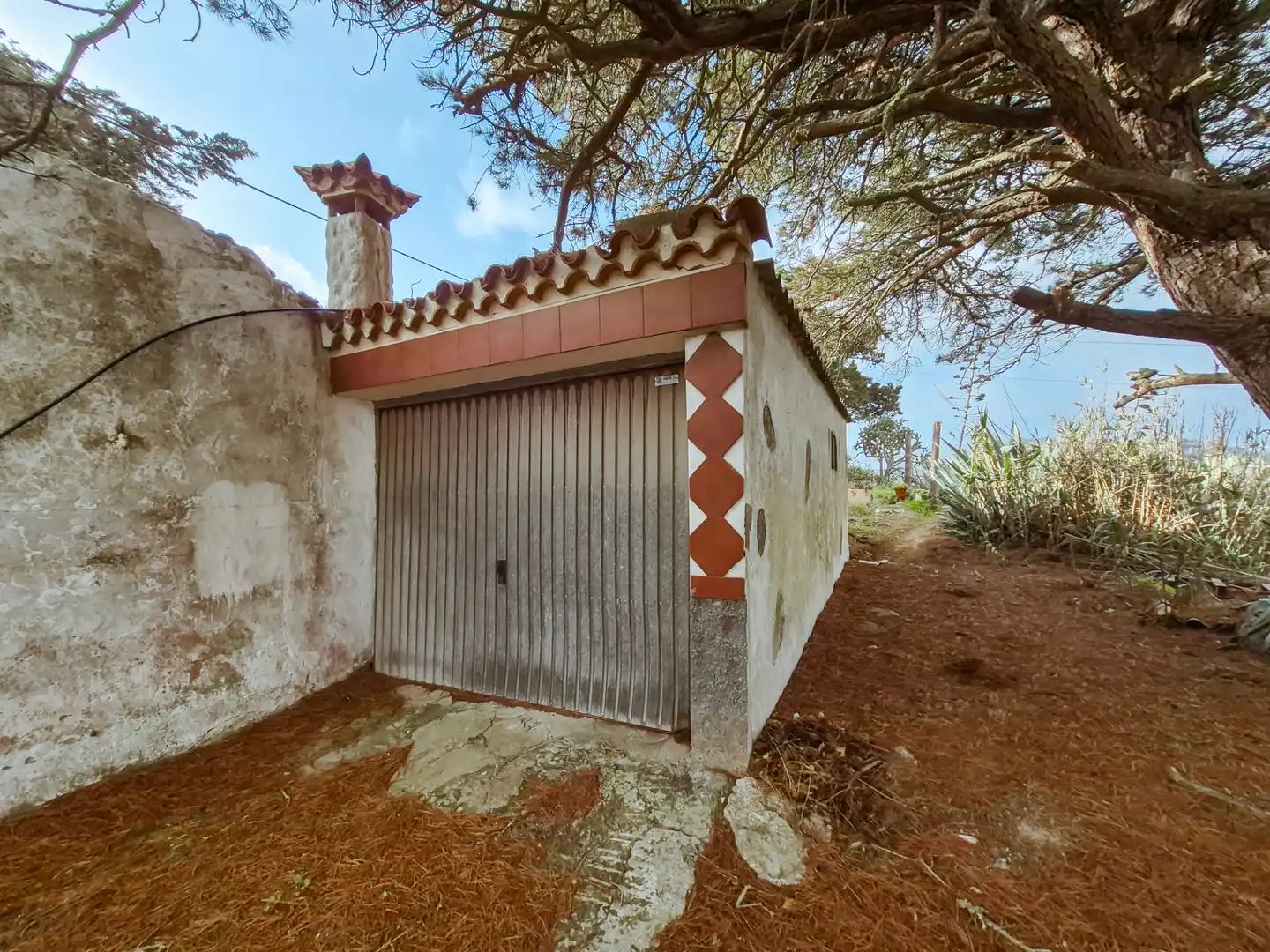 Vista exterior de Finca rústica en venta en Las Palmas de Gran Canaria con Jardín privado, Terraza y Trastero