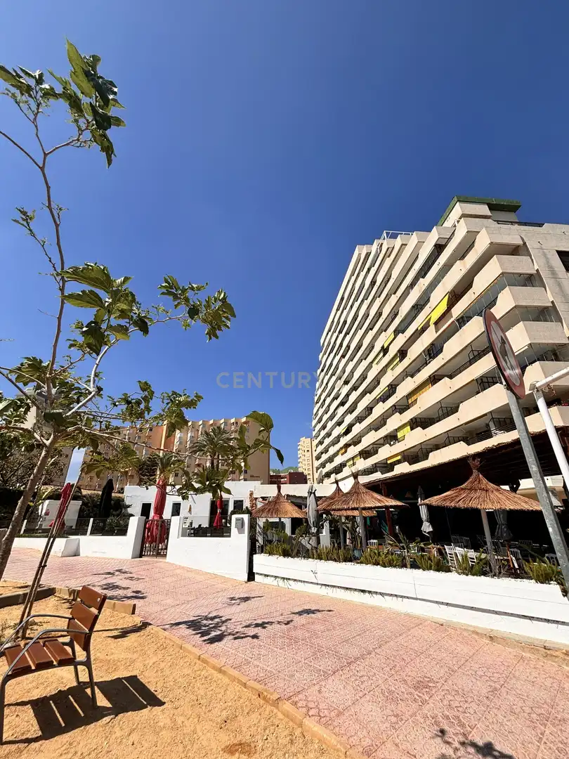 Apartment with terrace to rent in Avenida Rosa de los Vientos, 16, Calp, Spain 16, imagen 30