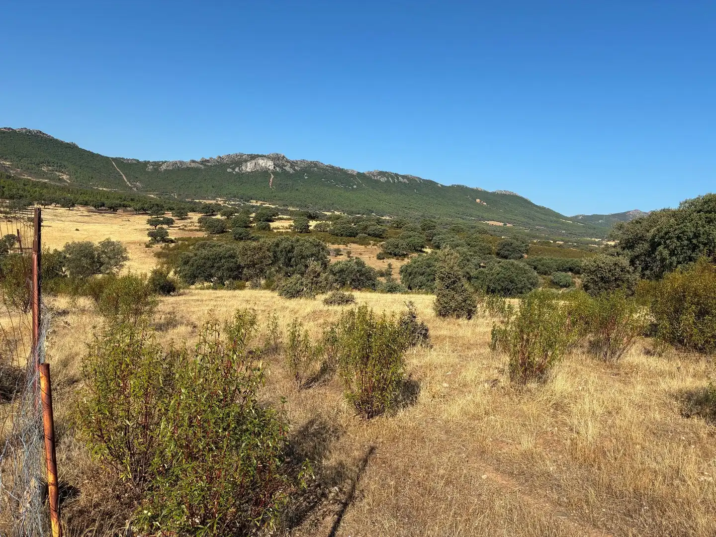 Rural land for sale in Puerto de San Vicente, imagen 22