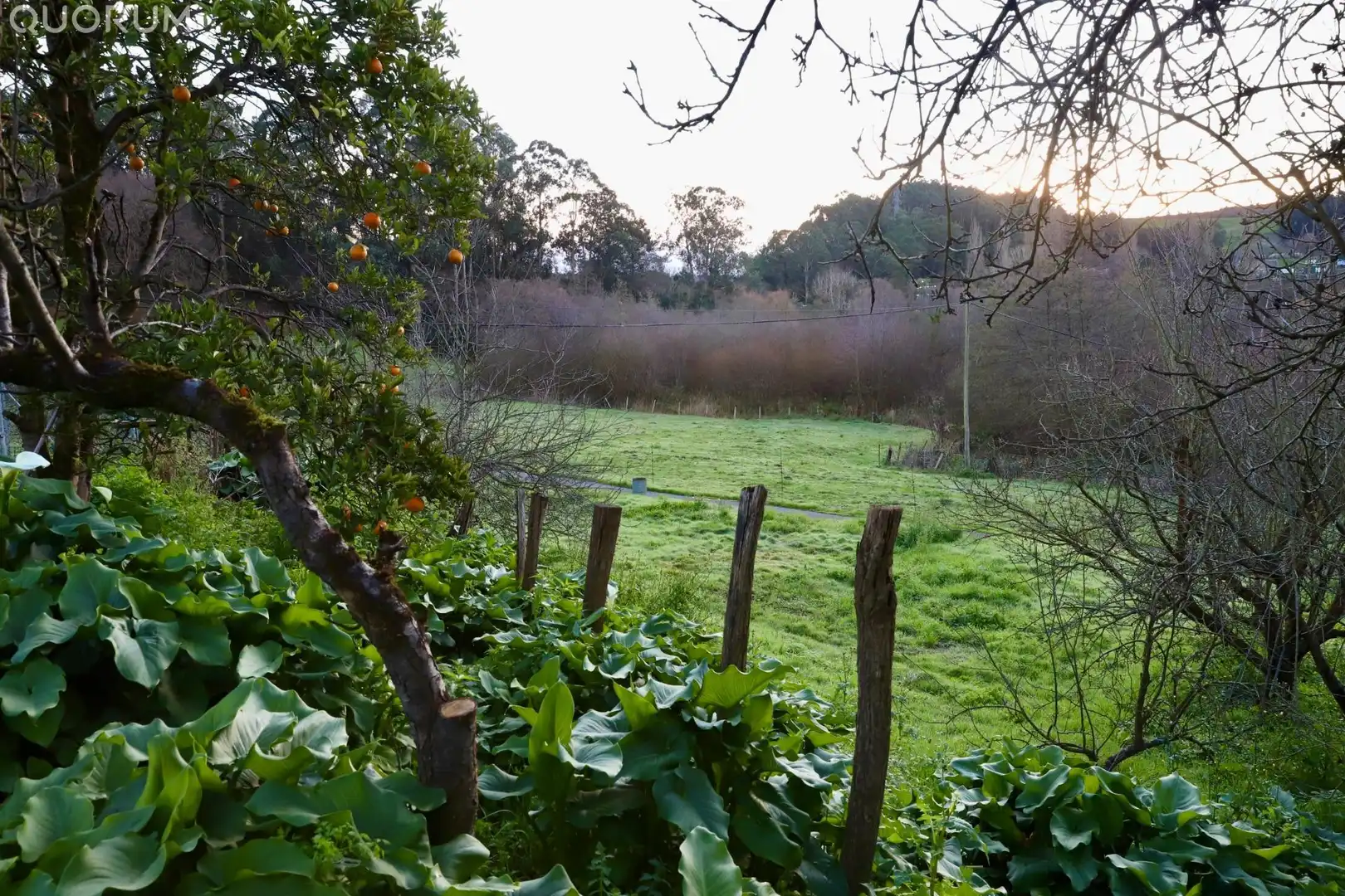 Jardín de Finca rústica en venta en Berango