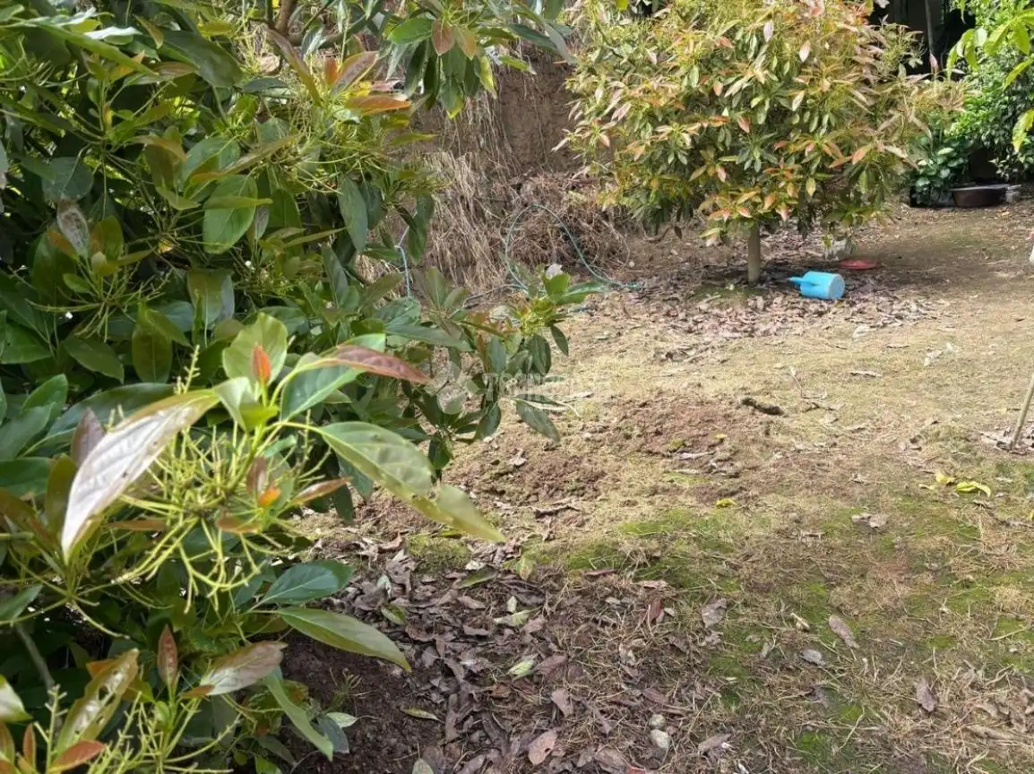 Terreny rústic en venda a Icod El Alto, imagen 10