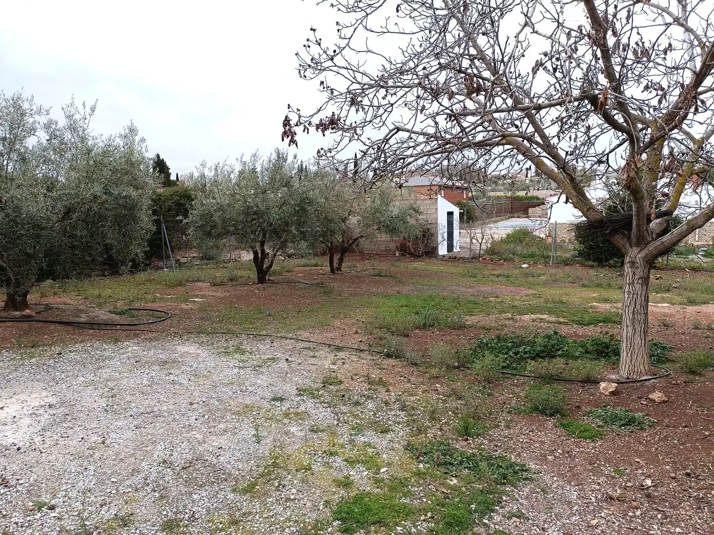 Terreny rústic en venda a Moraleda de Zafayona, imagen 13