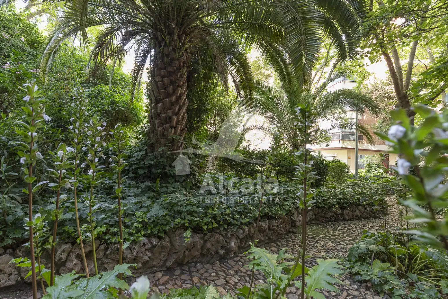 Jardí de Pis en venda en Alcalá de Henares amb Aire condicionat, Calefacció i Parquet