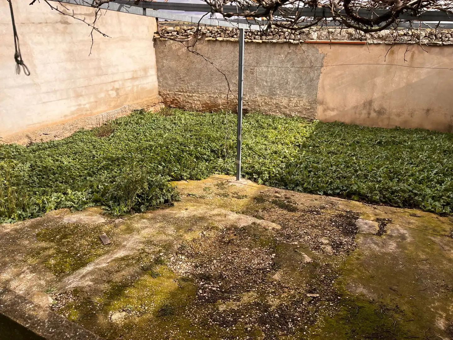 Jardín de Casa o chalet en venta en Vara de Rey con Amueblado