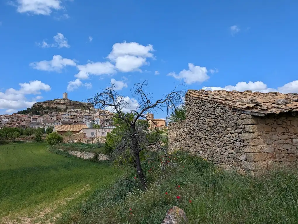 Vista exterior de Finca rústica en venta en Monroyo con Jardín privado