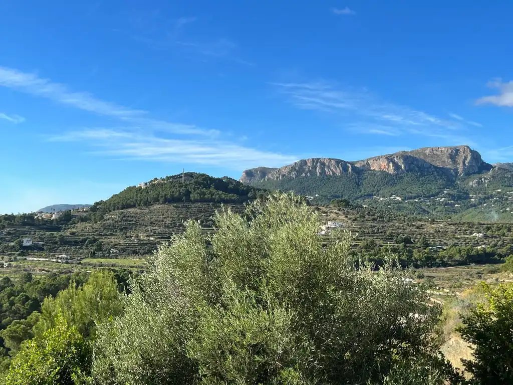 Casa con giardino in vendita a Zona Pueblo, imagen 9