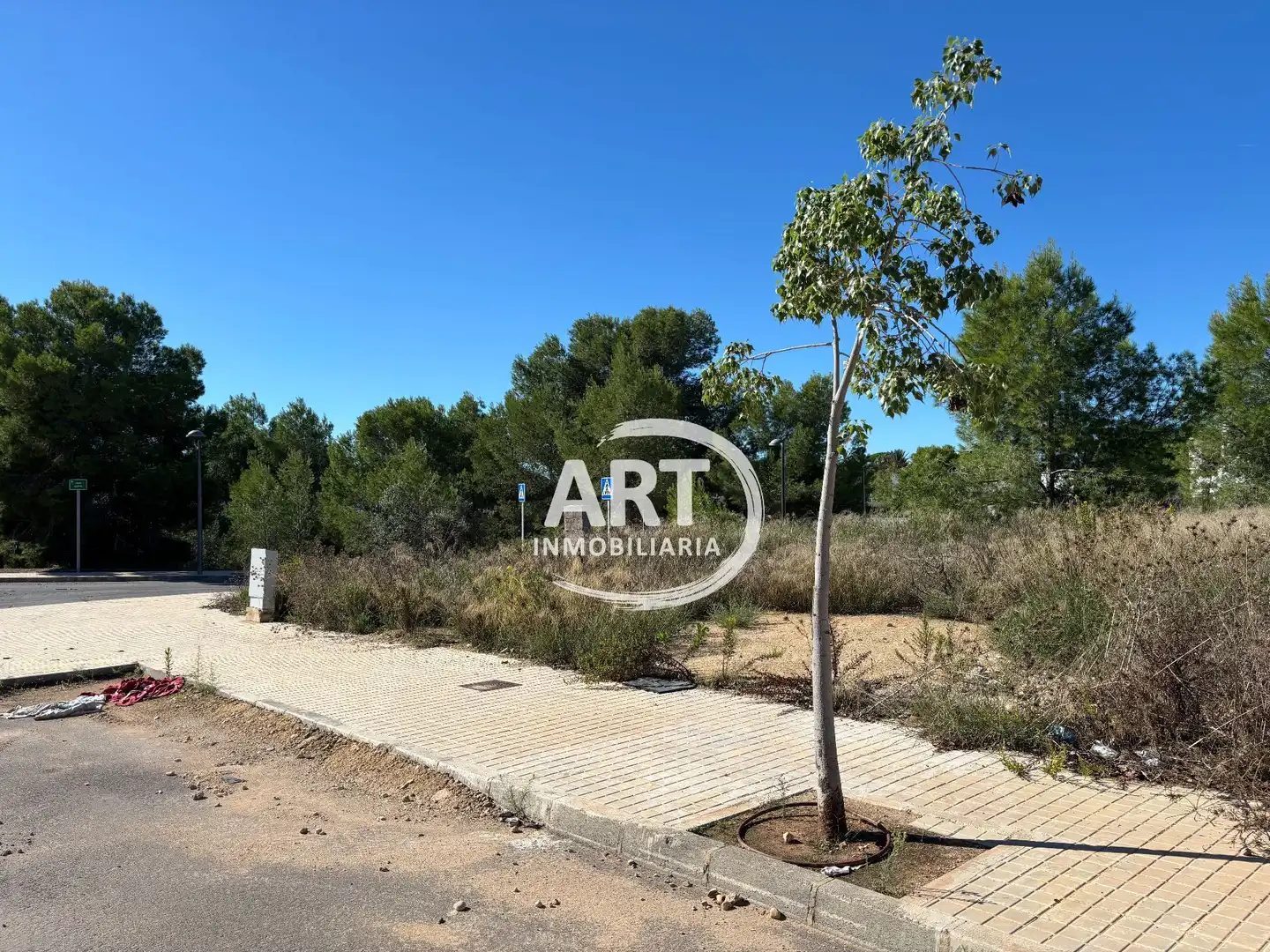 Terrenos y solares en venta en Violetas, imagen 2