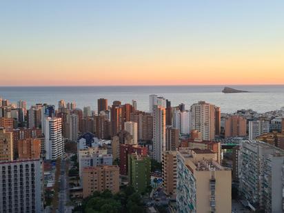 Vista exterior de Pis en venda en Benidorm amb Aire condicionat i Piscina