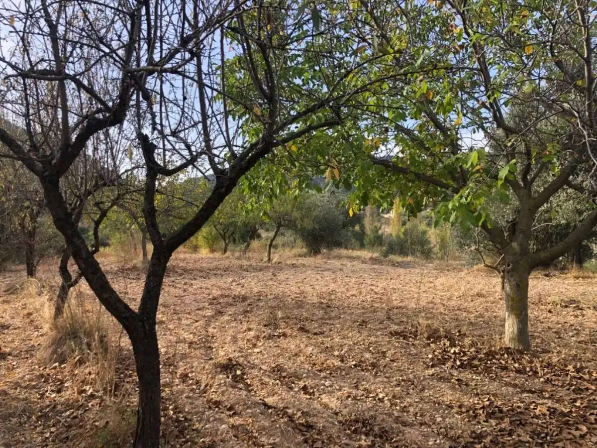 Finca rústica en venda en Valderrobres