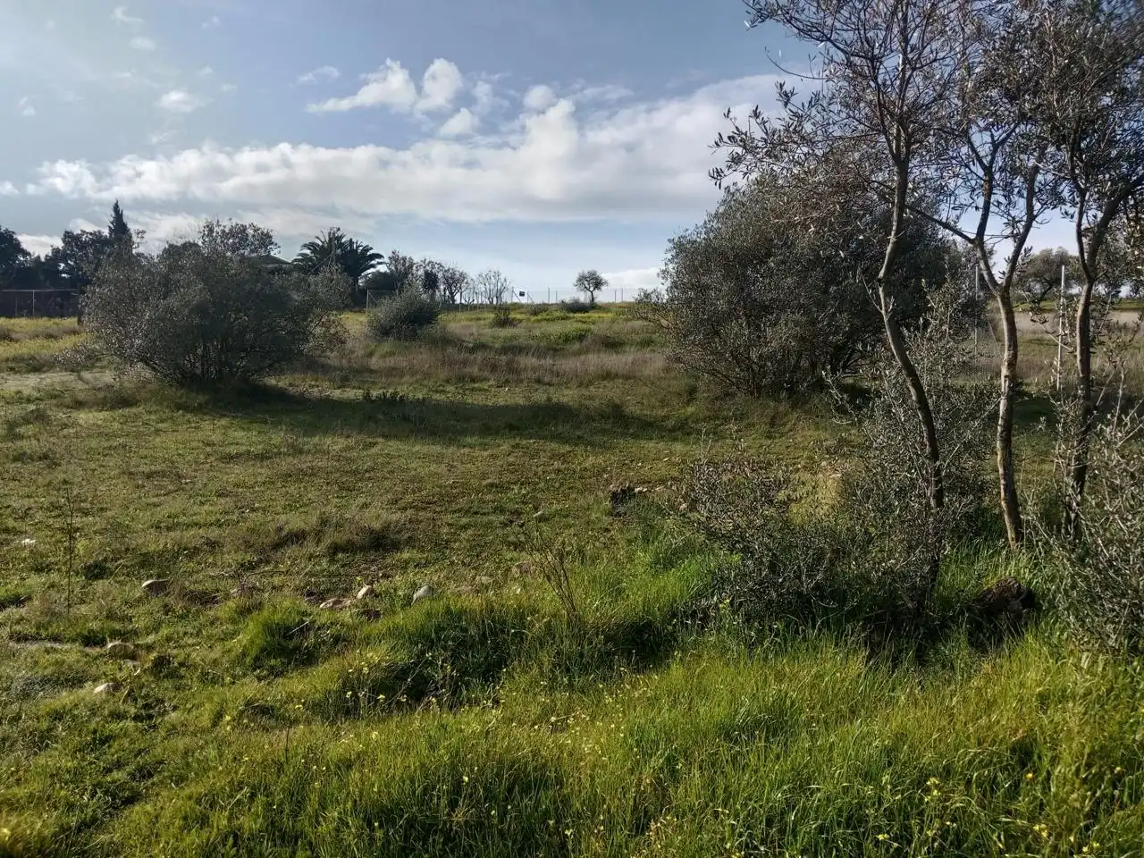 Terreni e lotti in vendita a Oeste, imagen 6