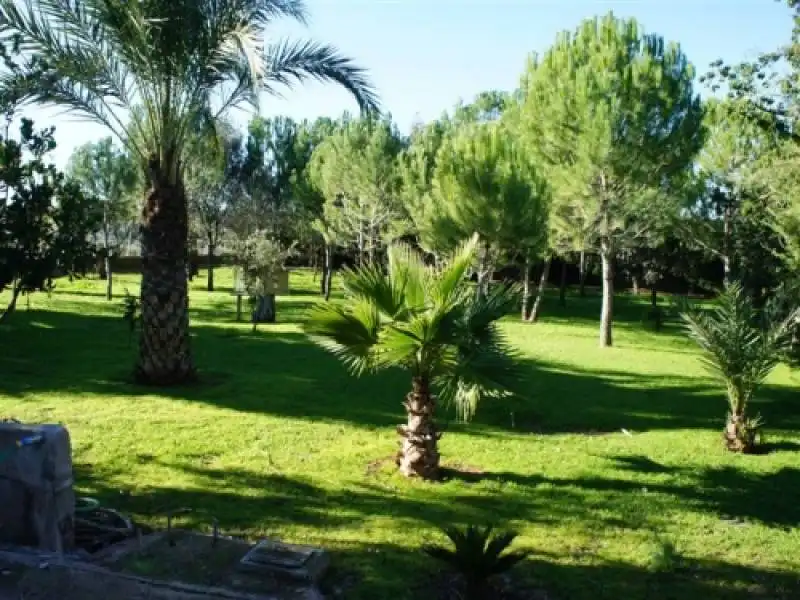 Villa mit Garten zum Verkauf in Navarrés, imagen 16