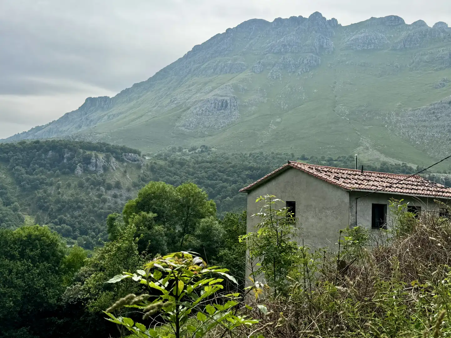 Exterior view of Houses for sale in Arredondo