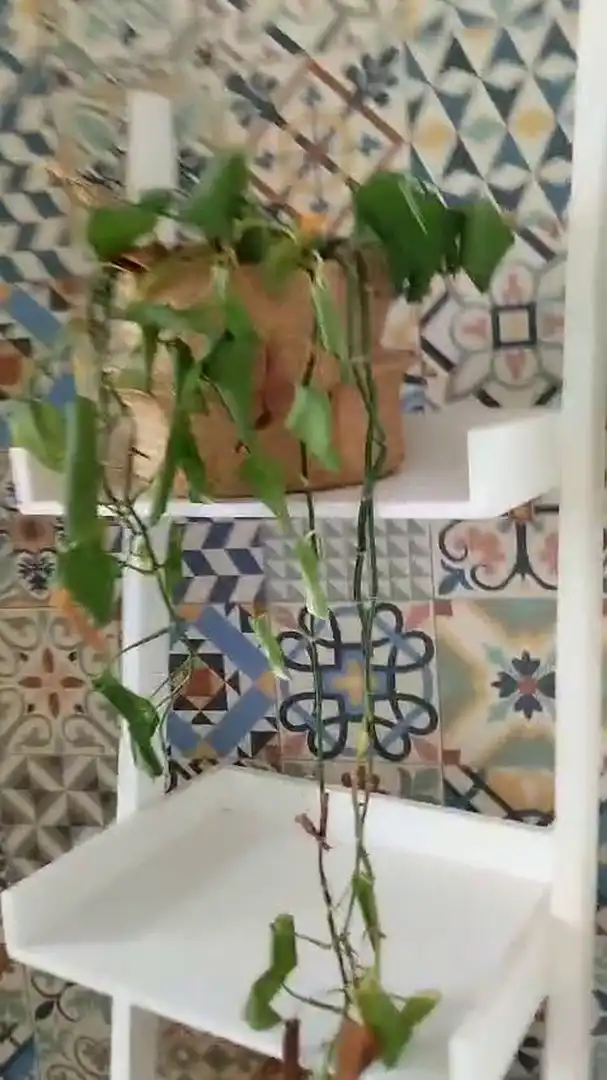 Cuina de Planta baixa de lloguer en El Faro de Calaburra - Chaparral