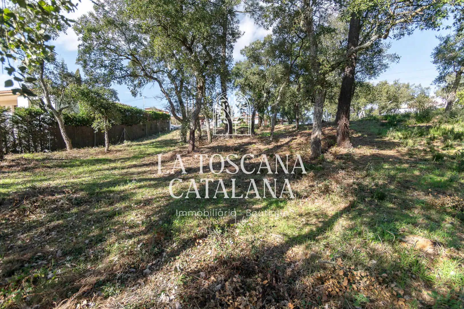 Terreny residencial en venda a Carrer Alzina Surera 152, imagen 4
