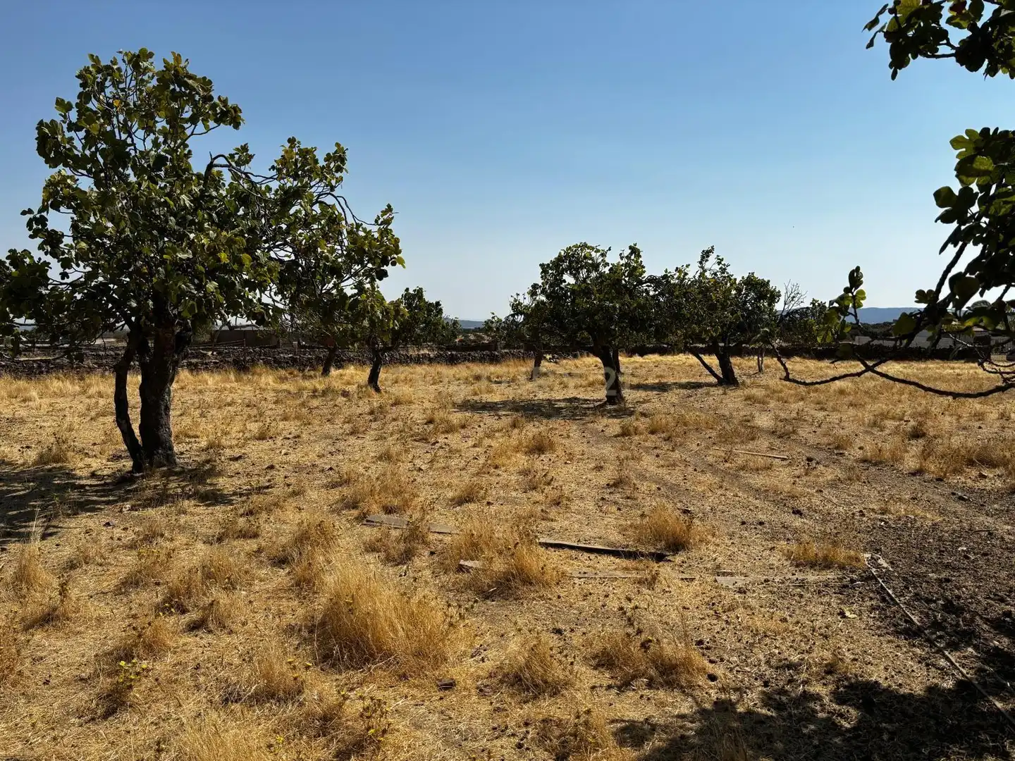 Terreni e lotti in vendita a C. Ntra. Sra. del Rosario, 3, 10180 Valdefuentes, Cáceres, Spain, imagen 3