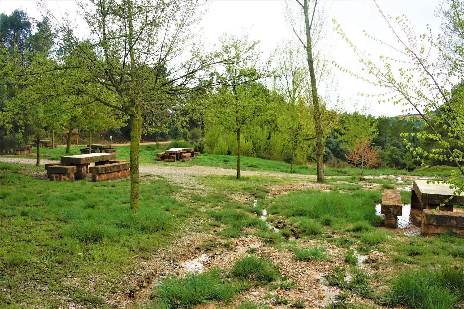 Terreno rústico en venta en Calleja Hontanar 78, imagen 25
