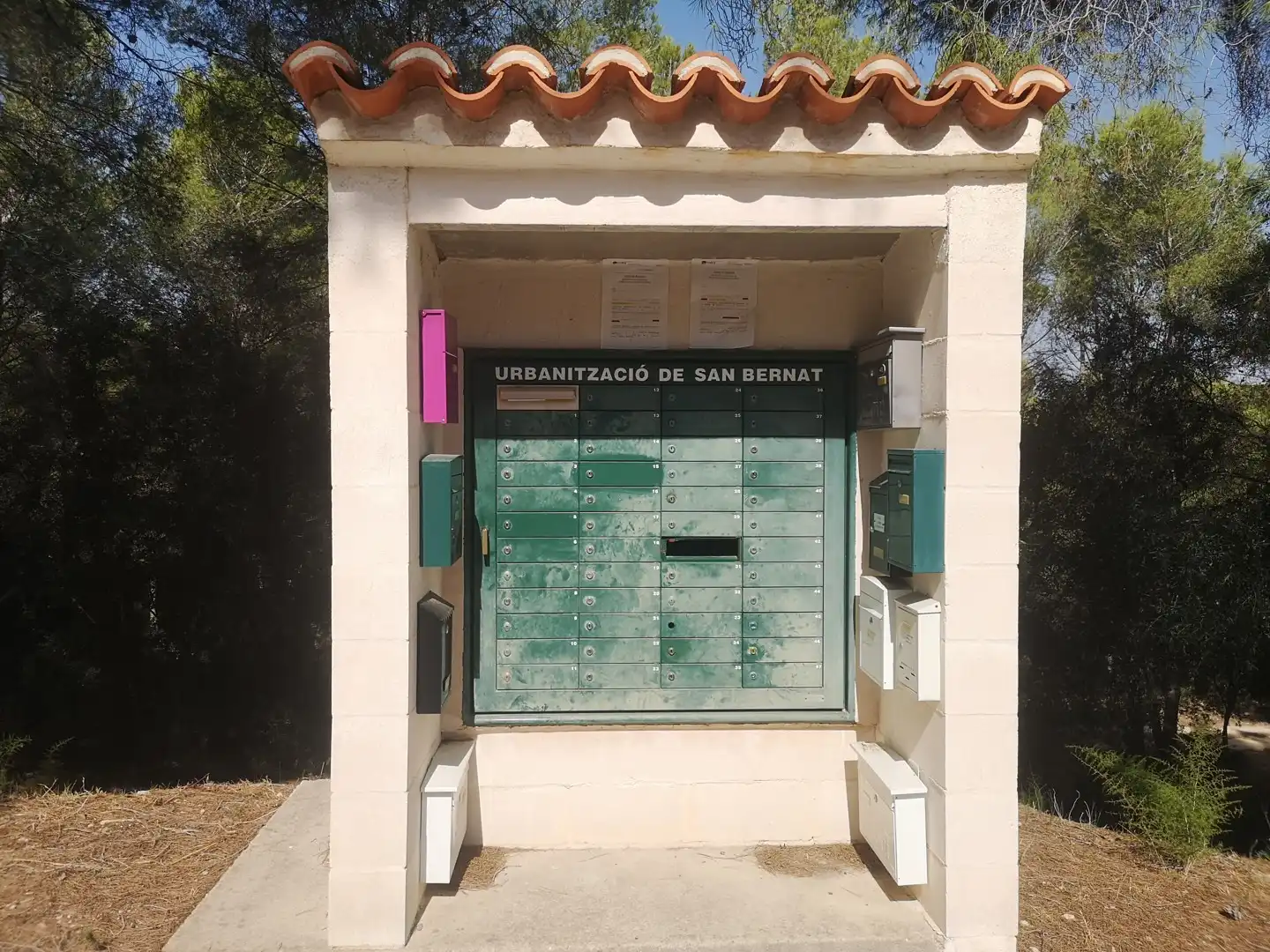 Vista exterior de Casa o chalet en venta en Alzira con Terraza, Trastero y Piscina