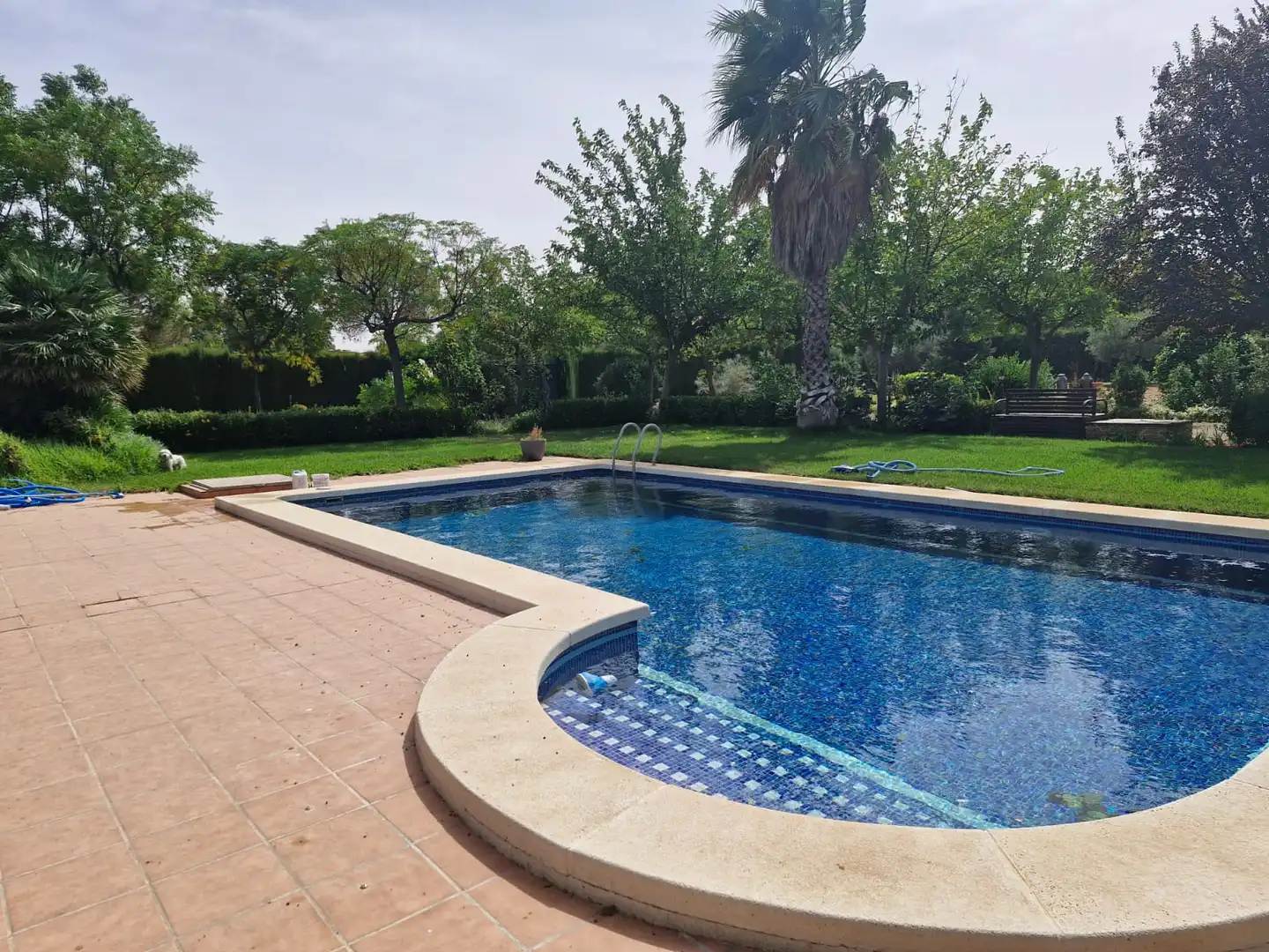 Piscina de Terreno en venta en Pozuelo de Calatrava