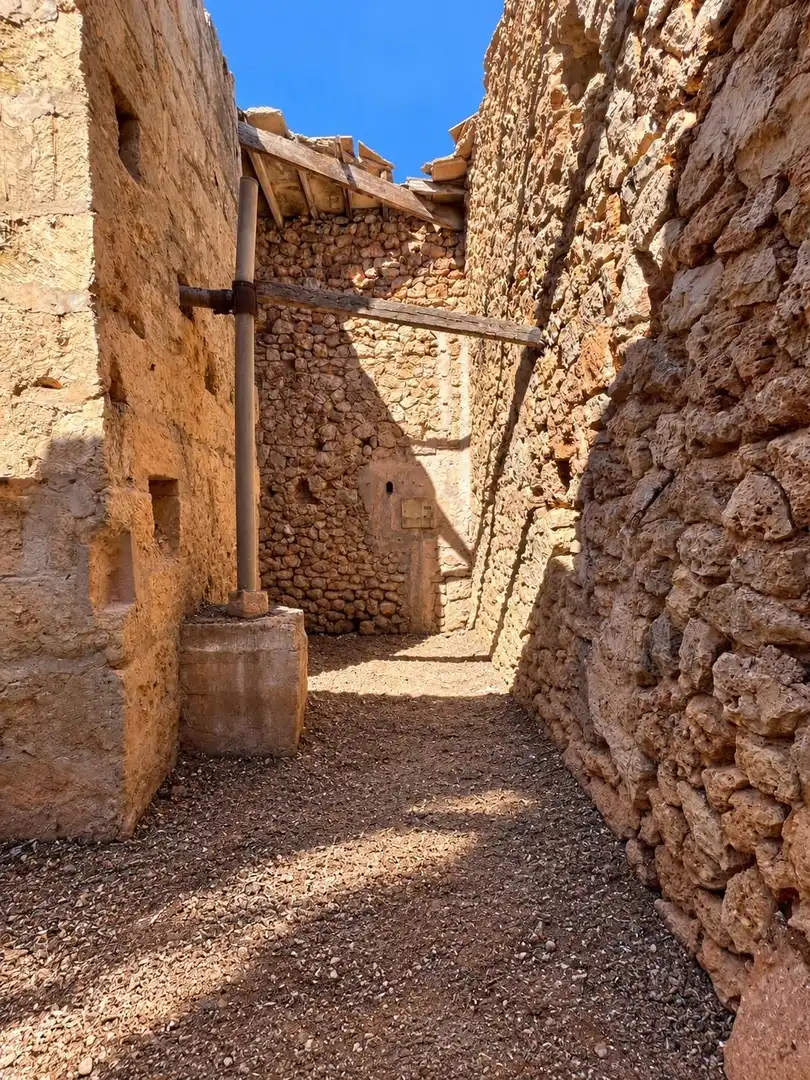 Rural land for sale in Sa Pobla, imagen 8